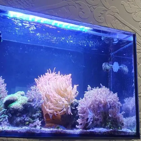 Sleep&coffee&go Private Privatunterkunft