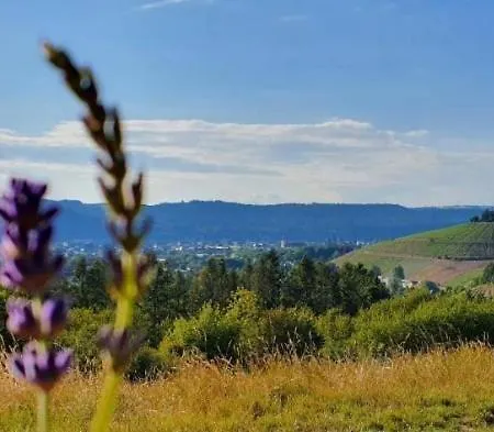 Sleep&coffee&go Private Homestay *