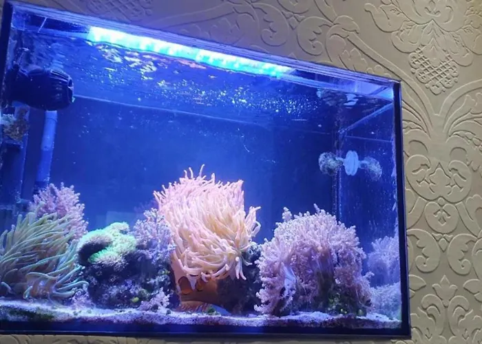 Sleep&coffee&go Private Homestay